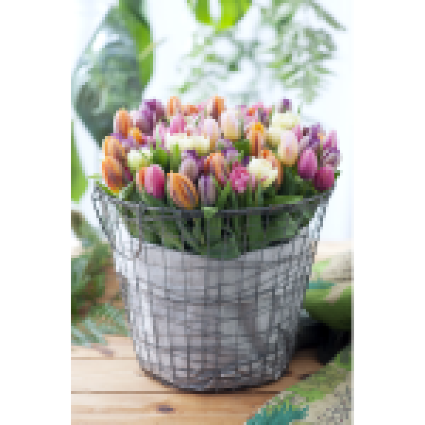 cesto-tulipani-150x150